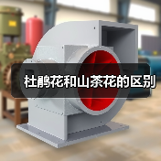 杜鹃花和山茶花的区别（图4）