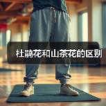 杜鹃花和山茶花的区别（图3）