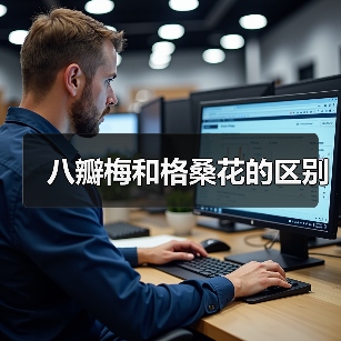 八瓣梅和格桑花的区别（图3）