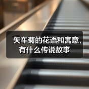 矢车菊的花语和寓意，有什么传说故事（图1）