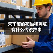 矢车菊的花语和寓意，有什么传说故事（图2）