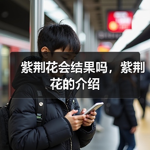 紫荆花会结果吗,紫荆花的介绍(图1) 紫荆花会结果吗,紫荆花的介绍(图1)