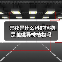 昙花是什么科的植物，是雌雄异株植物吗（图3）