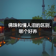 佛珠和情人泪的区别，哪个好养（图2）