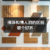 佛珠和情人泪的区别，哪个好养（图4）