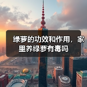 绿萝的功效和作用，家里养绿萝有毒吗（图4）