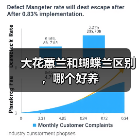 大花蕙兰和蝴蝶兰区别，哪个好养（图3）