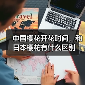 中国樱花开花时间，和日本樱花有什么区别（图1）