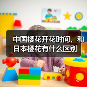 中国樱花开花时间，和日本樱花有什么区别（图3）