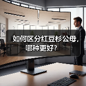 如何区分红豆杉公母，哪种更好？（图1）