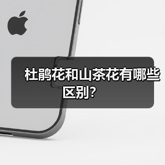 杜鹃花和山茶花有哪些区别？（图2）