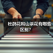 杜鹃花和山茶花有哪些区别？（图3）