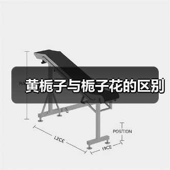 黄栀子与栀子花的区别（图3）