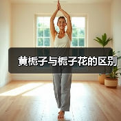 黄栀子与栀子花的区别（图2）