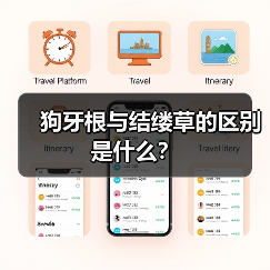 狗牙根与结缕草的区别是什么？（图4）