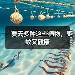 夏天多种这些植物,驱蚊又健康(图1) 夏天多种这些植物,驱蚊又健康(图1)