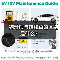 狗牙根与结缕草的区别是什么？（图1）