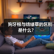狗牙根与结缕草的区别是什么？（图2）