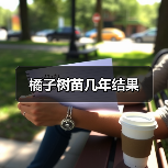 橘子树苗几年结果（图3）