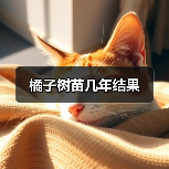 橘子树苗几年结果（图4）