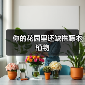你的花园里还缺株藤本植物（图3）