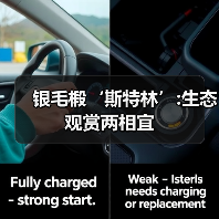 银毛椴‘斯特林’:生态观赏两相宜（图4）