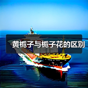 黄栀子与栀子花的区别（图4）