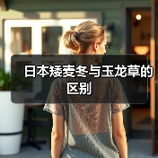 日本矮麦冬与玉龙草的区别（图3）