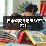 日本矮麦冬与玉龙草的区别（图4）