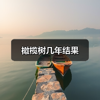 橄榄树几年结果（图3）