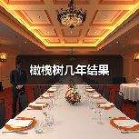 橄榄树几年结果（图4）