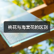 桃花与海棠花的区别（图2）