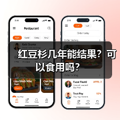 红豆杉几年能结果？可以食用吗？（图1）