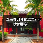 红豆杉几年能结果？可以食用吗？（图3）