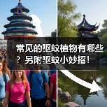 常见的驱蚊植物有哪些？另附驱蚊小妙招！（图2）