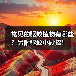 常见的驱蚊植物有哪些？另附驱蚊小妙招！（图3）