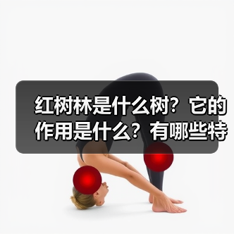 红树林是什么树？它的作用是什么？有哪些特殊之处？（图2）