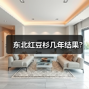 东北红豆杉几年结果？（图4）