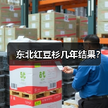 东北红豆杉几年结果？（图1）