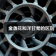 金盏花和洋甘菊的区别(图3) 金盏花和洋甘菊的区别(图3)