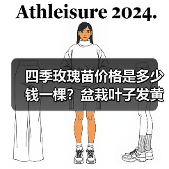 四季玫瑰苗价格是多少钱一棵？盆栽叶子发黄该怎么解决？（图4）