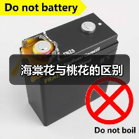 海棠花与桃花的区别（图1）