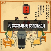 海棠花与桃花的区别（图3）