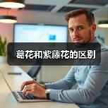 葛花和紫藤花的区别（图1）