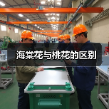 海棠花与桃花的区别（图2）