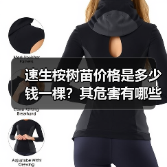 速生桉树苗价格是多少钱一棵？其危害有哪些？（图1）