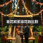 葛花和紫藤花的区别（图3）