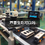 芦荟生吃可以吗（图2）
