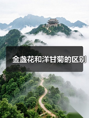 金盏花和洋甘菊的区别(图4) 金盏花和洋甘菊的区别(图4)