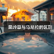 果岭草与马尼拉的区别（图4）